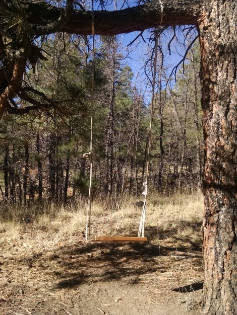 img_20161112_101559291