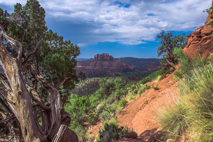 Hiking-Trails-in-Sedona-Airport-Loop-Trail