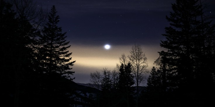 patrick-hendry-217599-unsplash