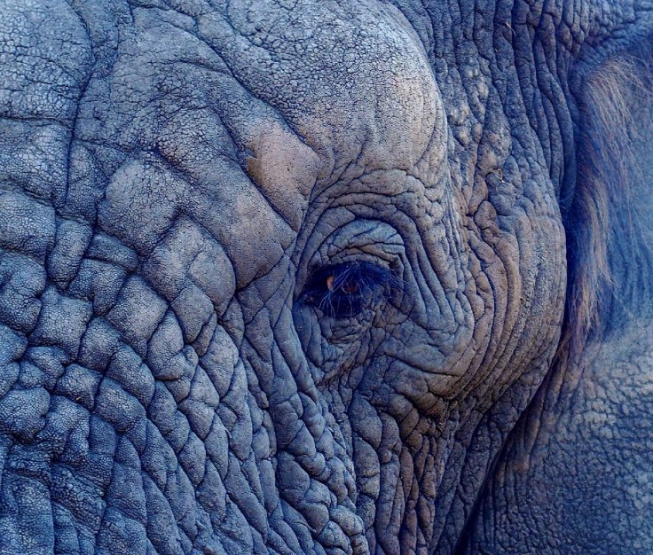 jennifer-latuperisa-andresen-177806-unsplash